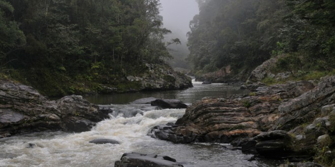 Ranomafana National park - MadaMagazine