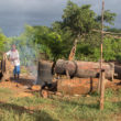 Toaka gasy